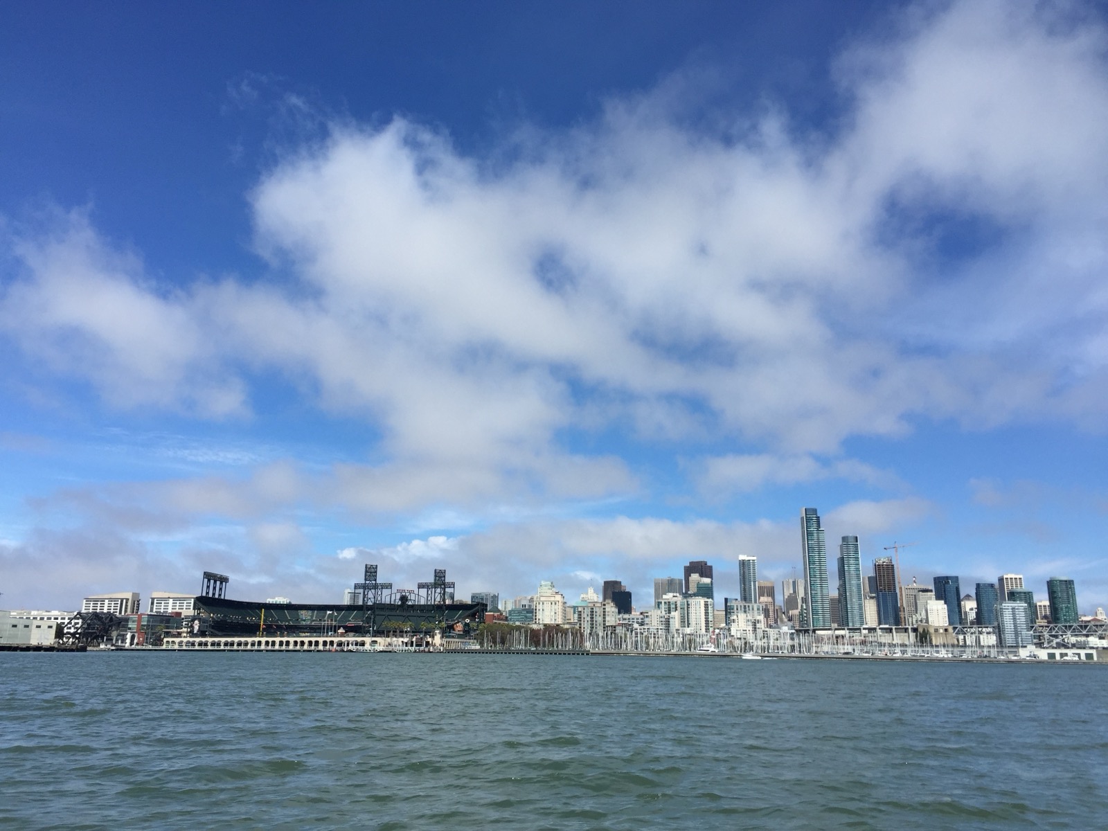 The bay